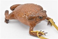 Real Frog Taxidermy Purse / Handbag w/ Leather