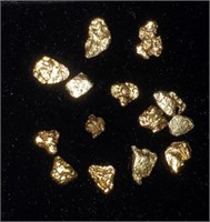 Gold Nuggets #5
