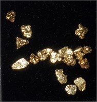 Gold Nuggets #4