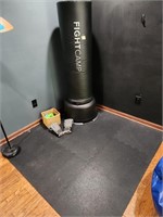 Punching bag, gloves, exercise equip, mat