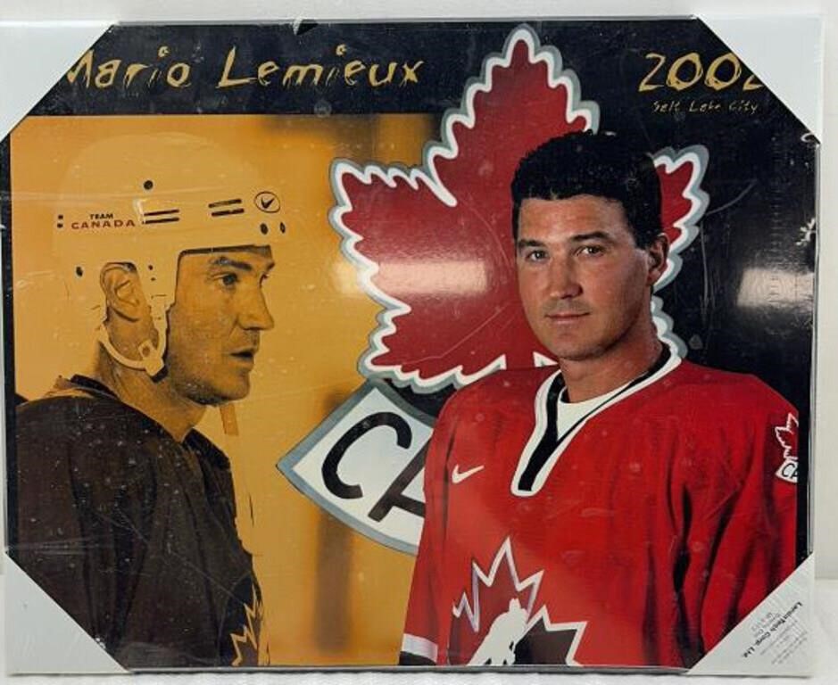 16x20in Mario Lemieux board printed