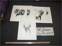 Vance 5pc Signed Wildlife Art Prints