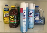 Assortment of Cleaning Products