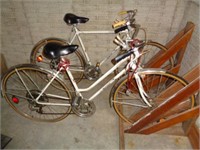 Man & Woman's Vista 10 Speed Bicycles and