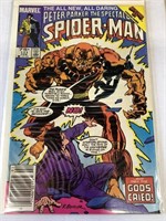 MARVEL COMICS PETER PARKER SPIDER-MAN # 111