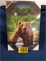 Bear Picture (Pick up Only)