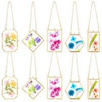 BBTO 10 Pcs Glass Frame for Pressed Flowers 5 Diff