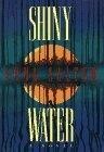 Shiny Water by Anna Salter $23.00