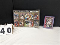 1991 Buffalo Bills Team Set