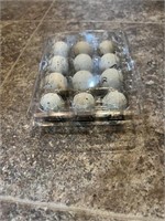 1 Dozen-Hatching Eggs-Gambels Quail