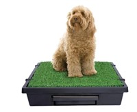 PetSafe Pet Loo Portable Dog Potty - Medium