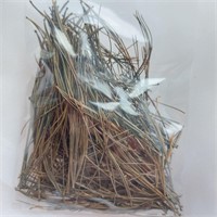 Muskoka Pine Needles -Fertility, Purify, Protect