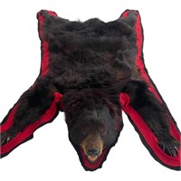 Authentic Black Bear Rug 68”L x44”w