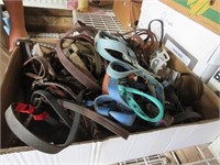 Box of Horse Halters and Bridles