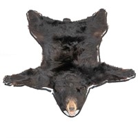 Black Bear Rug Taxidermy