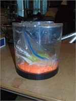 Small Betta fish Tank