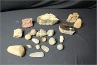 Assorted Rocks and Petrified Pieces