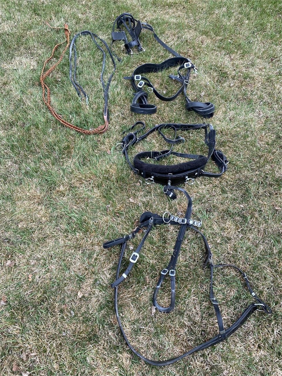 HARNESS, BRIDLE W/ BLINDERS, DRIVING REINS