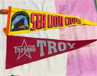 1966 Pennants