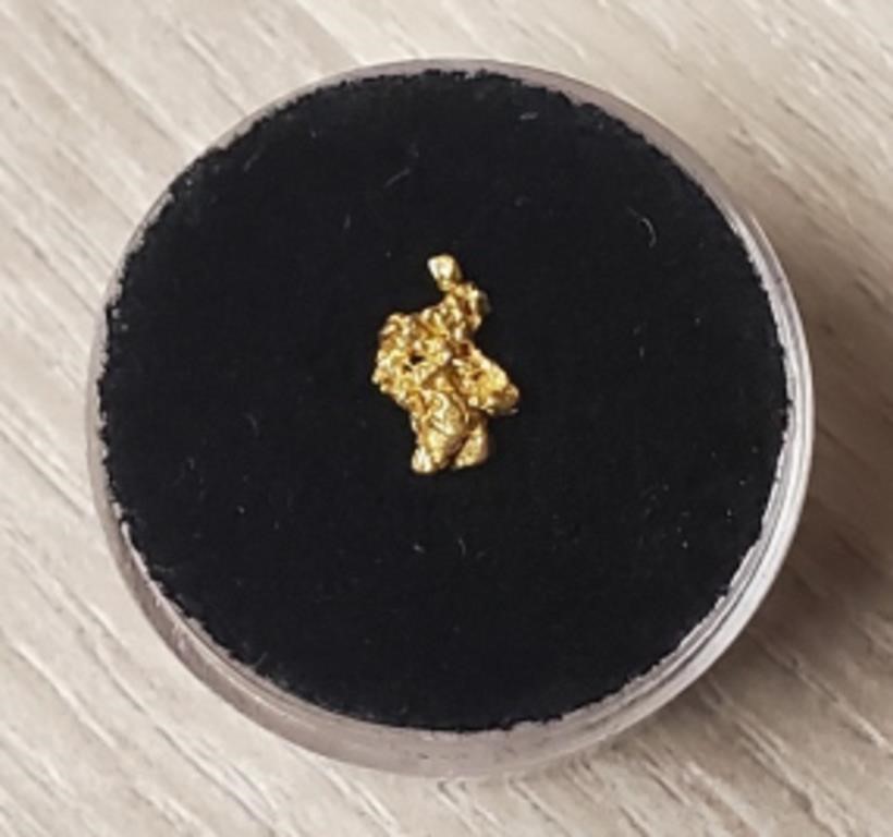 Alaska Gold Rush Nugget #2