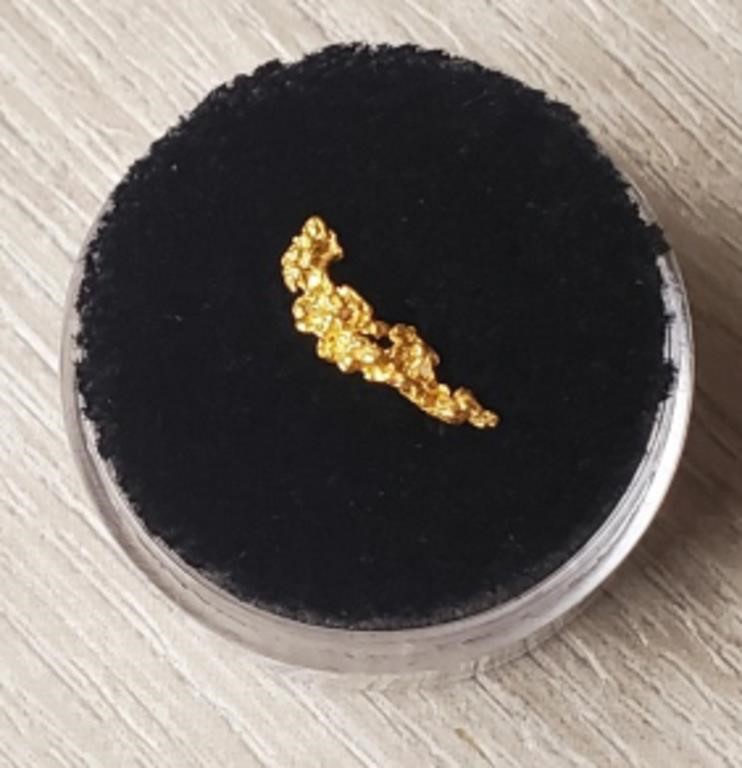 Alaska Gold Rush Nugget #5