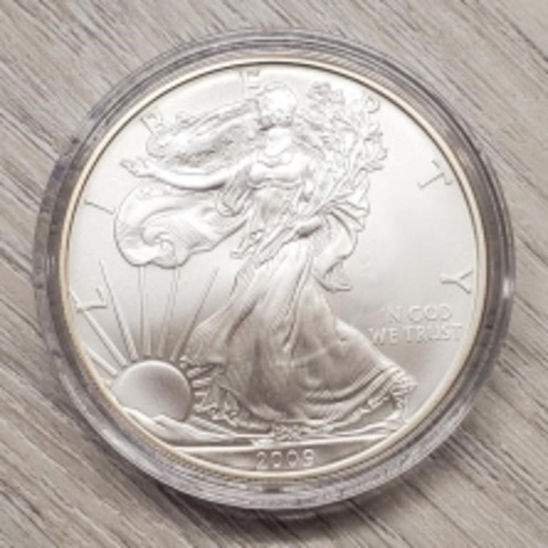 1 oz 2009 Silver Eagle Dollar