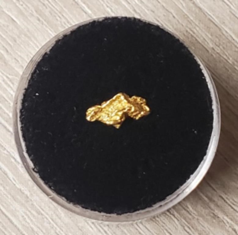 Alaska Gold Rush Nugget #4