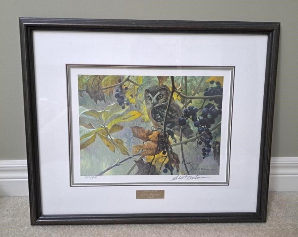 Robert Bateman Saw-whet owl and wild grapes print