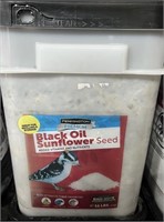 PENNINGTON BLACK OIL SUNFLOWER SEED 11 LBS