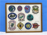 Framed Vintage ASHC Crests (11), 17x21 "