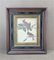 Audobon's Cardinal Grosbeak Lithograph