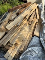 DOMESTIC WOOD PILE - 200 ' - PAD