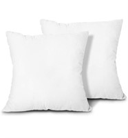 Throw Pillow Inserts 2pk