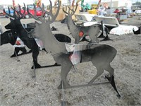 Deer Shooting Target