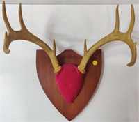 Antlers On Plaque