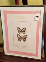 Framed Art Litho Butterfly SLM Giampaolo Bianchi 3