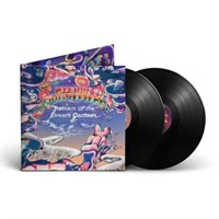 Return of the Dream Canteen (Deluxe) (Vinyl)