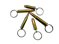Lot Of 5 Bullet Key Rings