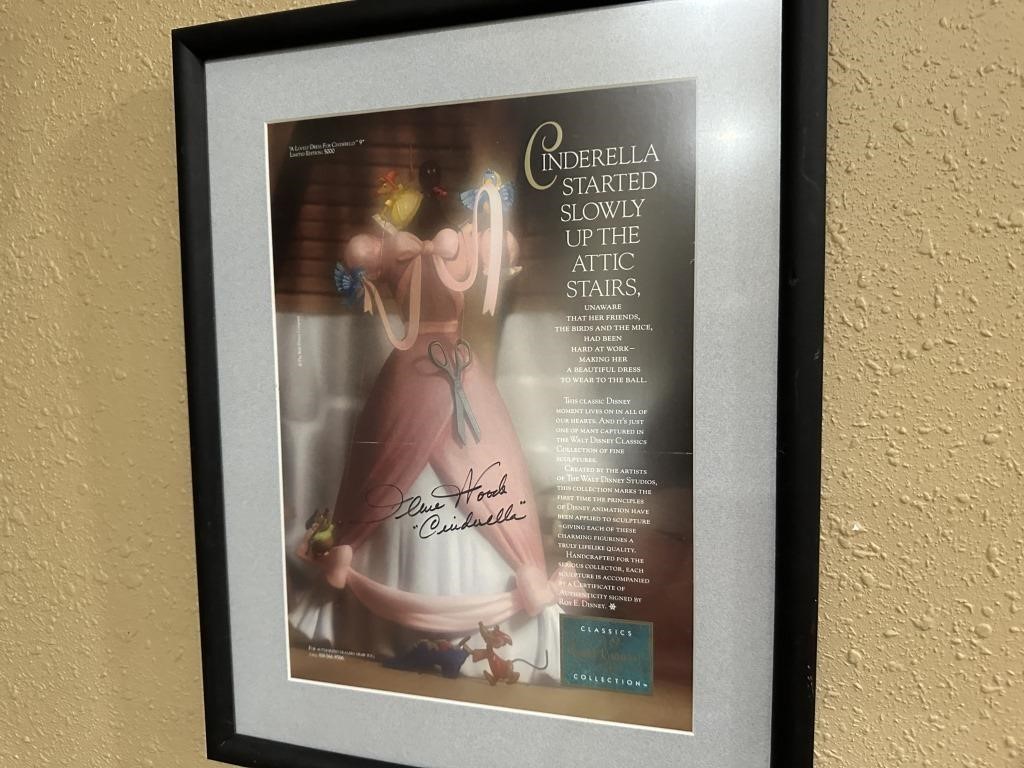 Framed picture of Cinderella's Dress