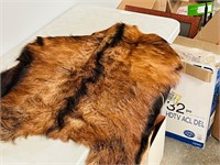small animal hide - possibly African - 33" long