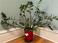 Plant (upper bathroom)