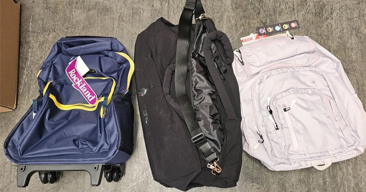 Backpacks & Bag Lot