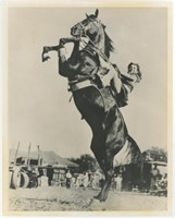 8x10 Equestrian on horse Hoyt