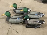 Four Duck Decoys