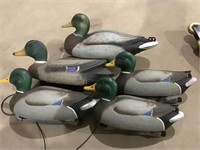 Five Duck Decoys