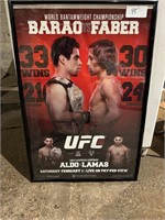 UFC 169 fight poster