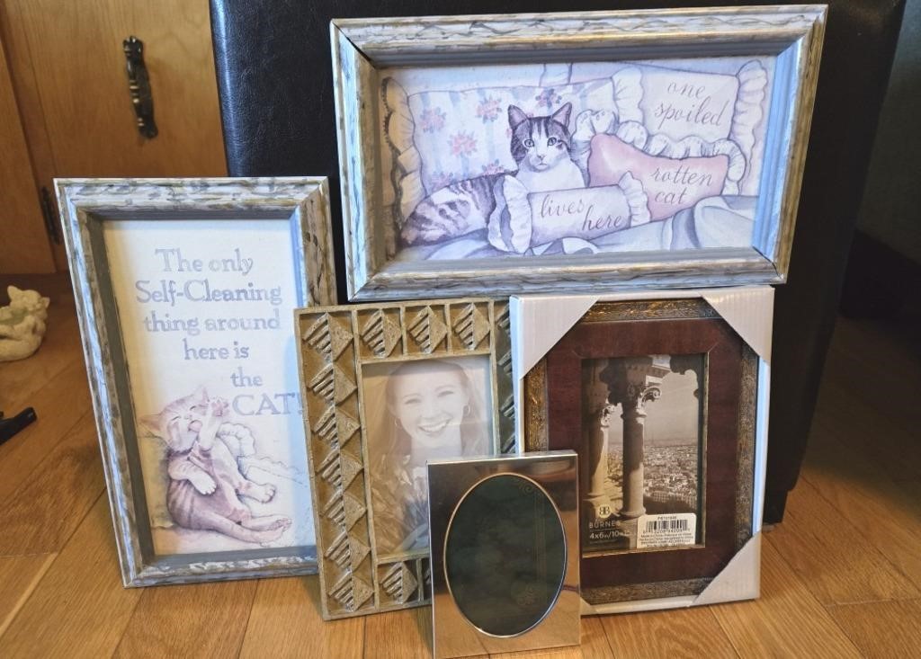 Lot of Cat Prints + Assorted Photo Frames
