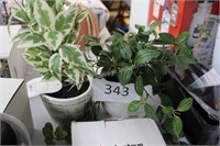 2- artificial plants