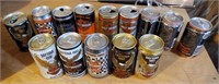 Daytona Beer Can Collection