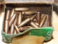 22 Cal 55gr Bullet Heads 36ct